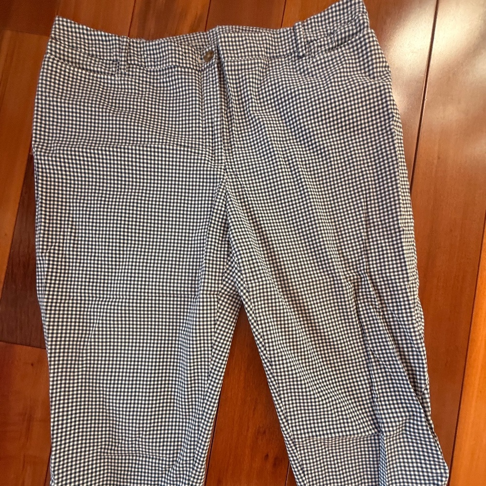 Women's Talbots Perfect Skimmer Plaid Blue Size 18W